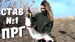 Риболовля На Печенізькому Рибгоспі. Ловля Трофейної Щуки Перед Відкриттям