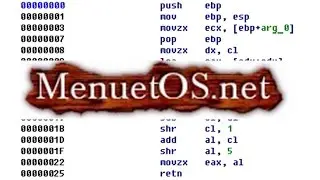 Menuet OS Assembly Language Extravaganza | Weird OS #3