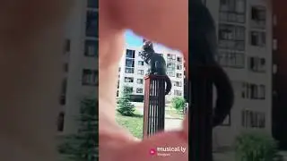 У тебя 9 жизней,так верни мне мою их останется 8 💥💥