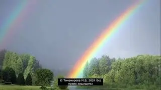 1.11 Лес