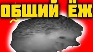 ежик чихнул , но это ссср. ежик чихает в ссср.