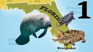 South Florida Herping Part 1