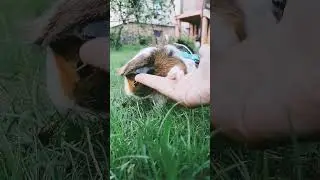 ЕСЛИ ТЫ СЛЫШЫШ ЕТОТ ЗВУК.