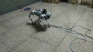 Quadruped robot self navigation