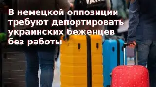 В немецкой оппозиции требуют депортировать украинских беженцев без работы / Беженцы 2024
