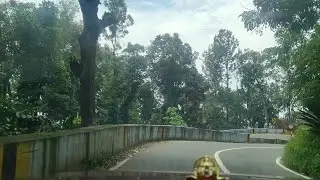 Yercaud Hairpin Bends Road