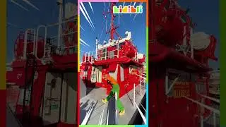 Denizci olmaya hazırım! 🚢 | Kidibli #shorts