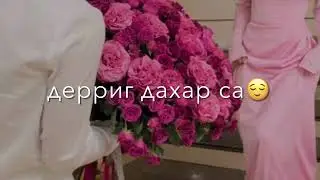 Новинка🔥Раяна Асланбекова😻Вайша вовше ду🙈#атмосфера #чеченскиепесни #новини #темнота #нохчи