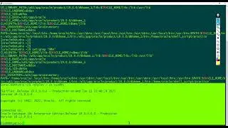 Environmental Variable Basics for Oracle