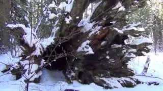 Angels Camp Resort 1080p