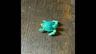 Turtle Squish Demolish #shorts