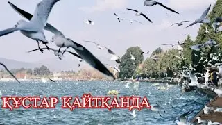 Тырналарға тілек айту🤔Балалық шақ💔#рекомендации #rek #қазақша #film #отношения #рек #реки #ана #а4