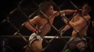MMA (Mixed Martial Arts) & UFC (This is MMA)