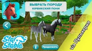 Лузитано и Юрвикский пони в стар стейбл хорсес