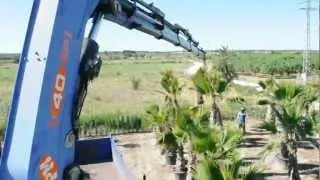 EUP Loading 30.04.2012 - Aliche_02.AVI