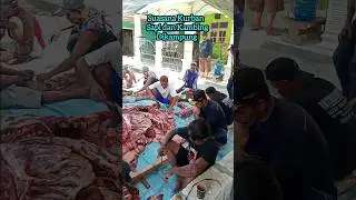 Kurban 2 sapi dan 6 kambing