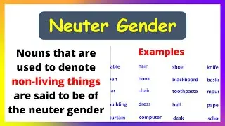 Neuter Gender with Examples | Neuter Gender in English Grammar | Definition of Neuter Gender