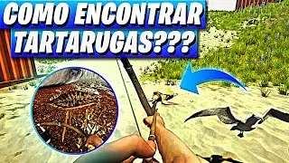 como FAZER COLETOR de ÁGUA com CASCO de TARTARUGA no THE FOREST!!!