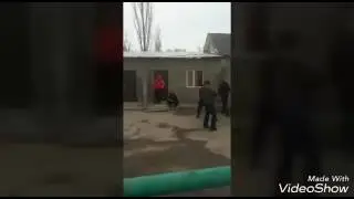 Залкар