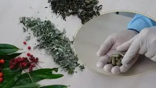Как создать полезные БАДы своими руками. Натуральные БИО активные добавки на каждый день. Анонс.