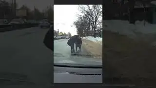 Мужчина помог бабуле, которая упала на проезжую часть. Подробнее в нашем Телеграме!