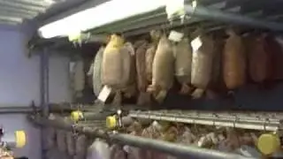 A Visit to Trealy Farm Charcuterie - Monm