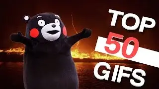 50 Funniest GIFS Of All Time