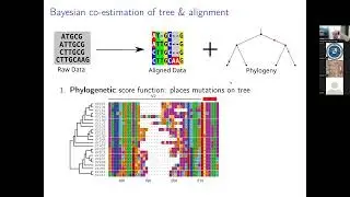 Ben Redelings: 20 Oct 2023:  Multiple Sequence Alignments and Heterotachy