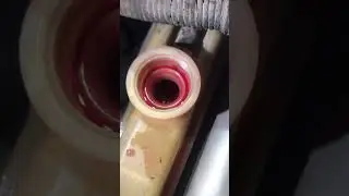 Water pump replaced in Toyota Prius 1500 Cc #car #yt #automobile #prius #electriccar #car #shorts