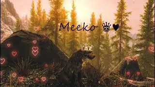 Skyrim - For Memory of Meeko