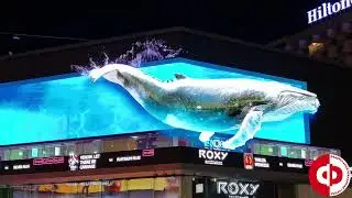 Реклама на видеоэкранах в Дубае