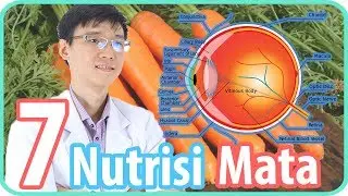 7 Nutrisi Untuk Mata