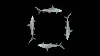 Голограмма Море