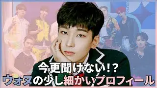 SEVENTEENで低音＆クールを担当しているウォヌの少し細かいプロフィール