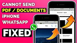 FIXED Cannot Send PDF Files, Documents On WhatsApp In iPhone I How To Send PDF In WhatsApp iPhone