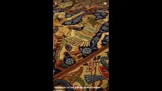 Carpetopia | A Fine, delicate taste of Persian Carpets