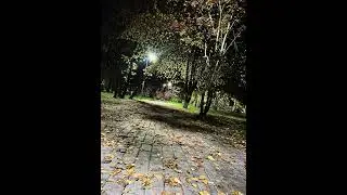 Осенний парк #shorts #trevel #парк #велосипед #велоспорт