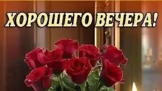 Добрый Вечер