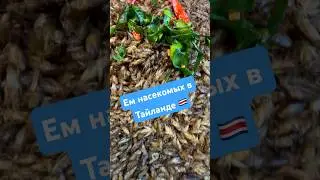 Ем насекомых в Тайланде 🇨🇷 #traveldestinations #thailand #foodtravel