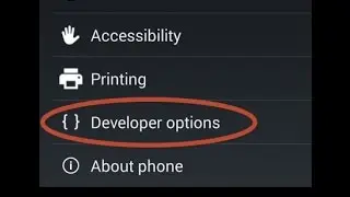 How to enable developer options?