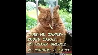 7 Days to Die набор друзей