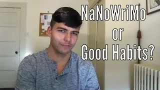 NaNoWriNo 2015 & Thoughts About Good Habits