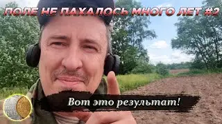 0207 / Много монет и серебро! / Поле НЕ ПАХАЛОСЬ МНОГО ЛЕТ / Вот это результат!