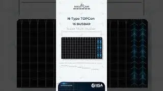 N-Type TOPCon Mavi Çam Güneş Panelleri 16 SMBB Teknolojisi