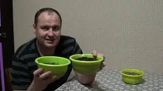 Субстрат для растений Лечуза Терра пон. Сменили состав, а зачем?