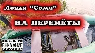 Ловля "Сома" на перемёты!!!! Рыбалка 2024г.