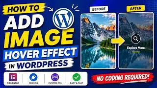 Add Hover Animation on Images in WordPress Without Coding