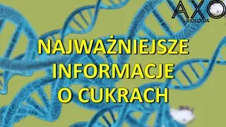 2. Cukry