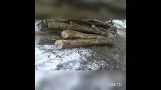 вожу дровишки по снежной каше