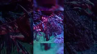ALL Valguero Creature Spawn Locations, Part 4 | Ark Survival Ascended